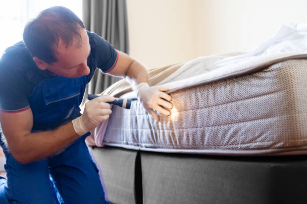 Best Bed Bug Extermination  in North Randall, OH